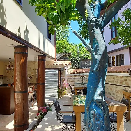 Otel Citronella Boutique 4*