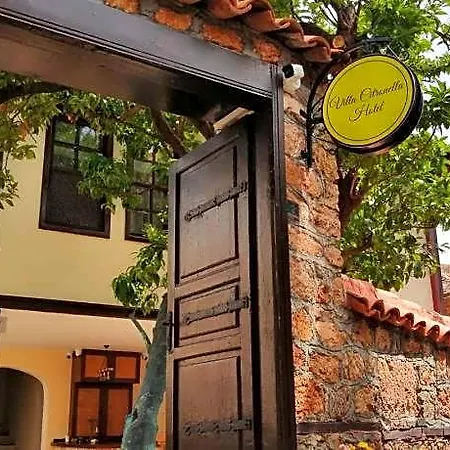 Citronella Boutique 4*